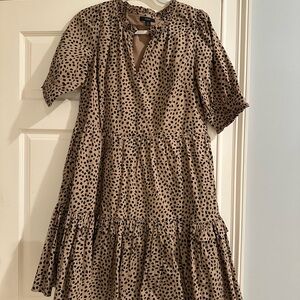 J.Crew Dress